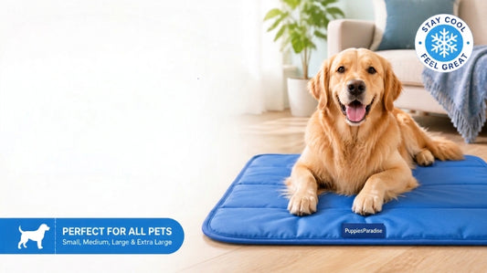 PuppiesParadise Cooling Mat